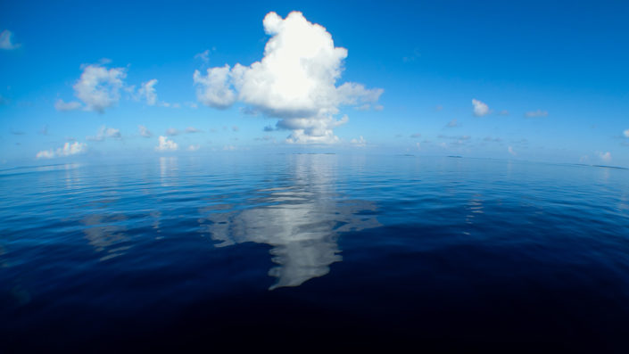 Maldives Snorkelling
